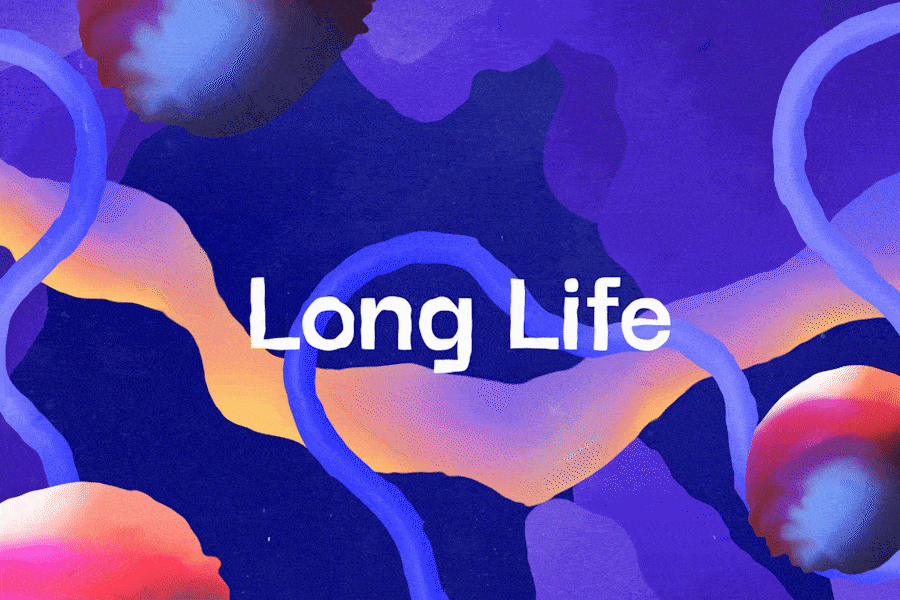 Long Life - Vizuální styl