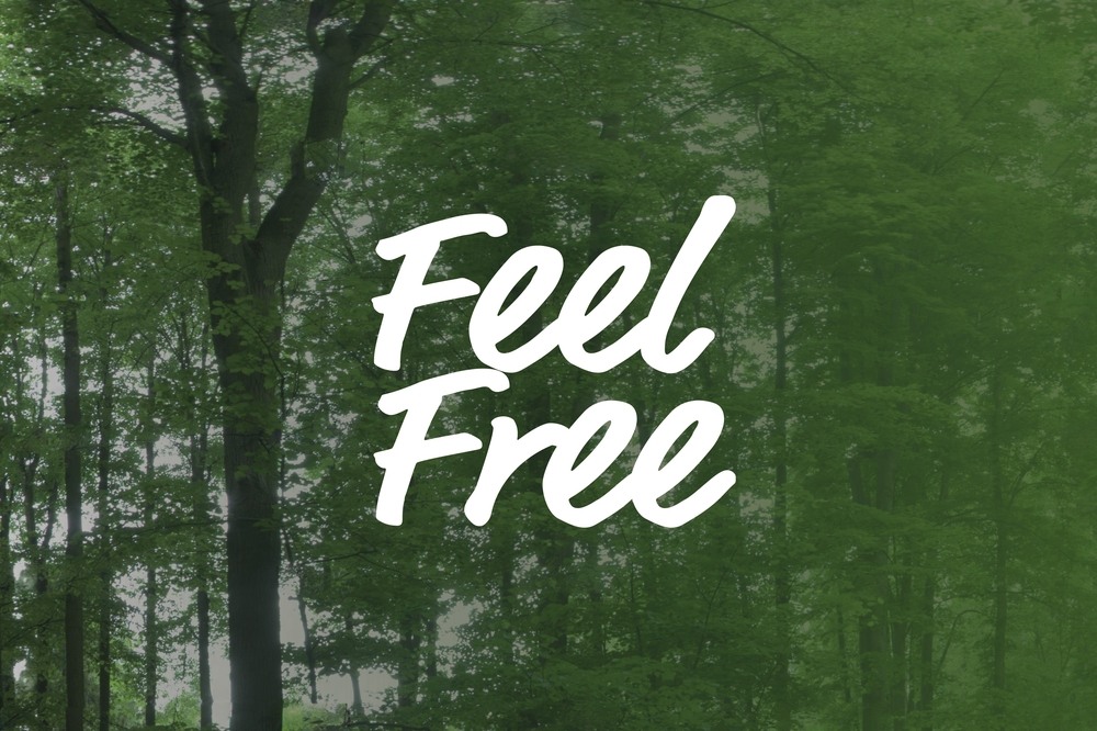 Free Feel Virtuální prohlídka