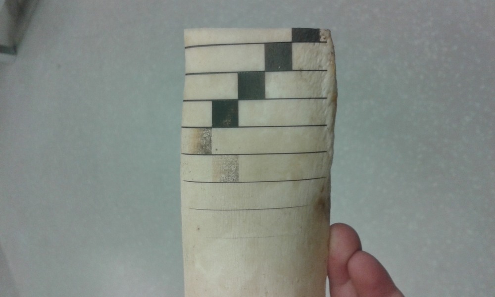 Materiálová zkouška - Diplomová práce