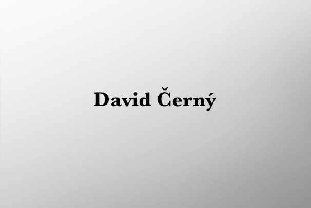 David Černý - Uhol pohľadu