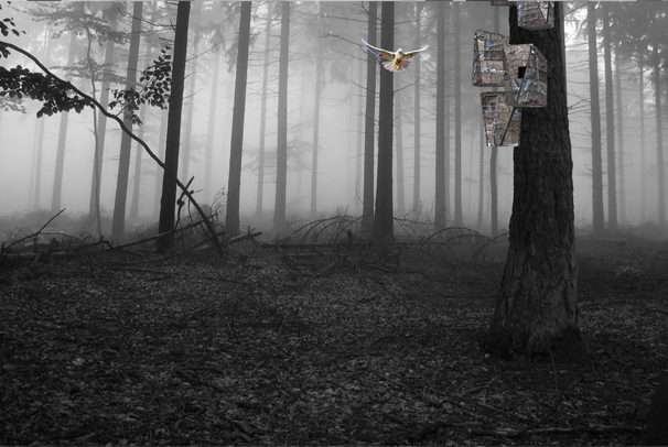 Slavnosti ptačích budek – Architektura ptákům