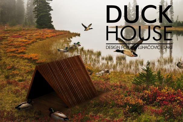Duck House