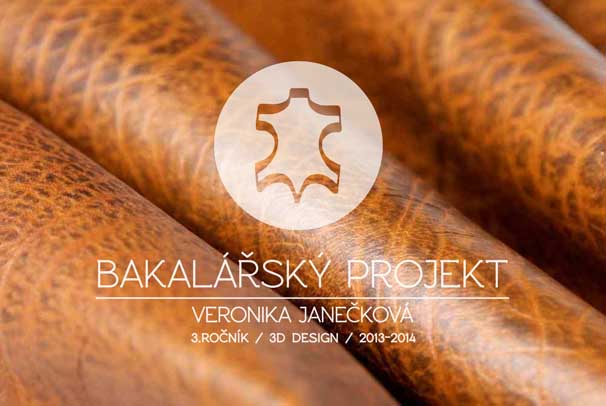 Bakalářský projekt