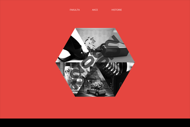 Microsite k 10. výročí FMK