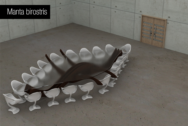 Manta birostris