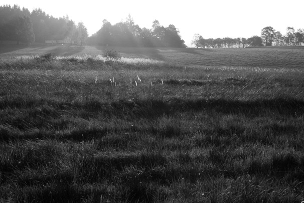 Plenér Strměchy_Fotografie