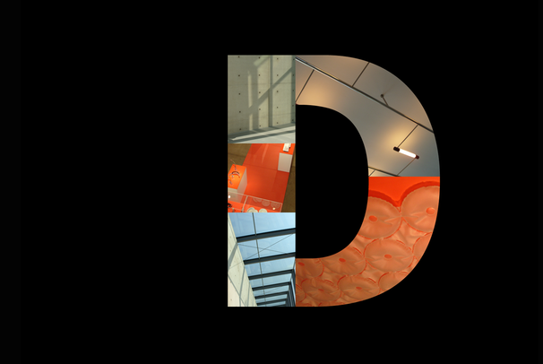 plakáty z fotografií_NL+D