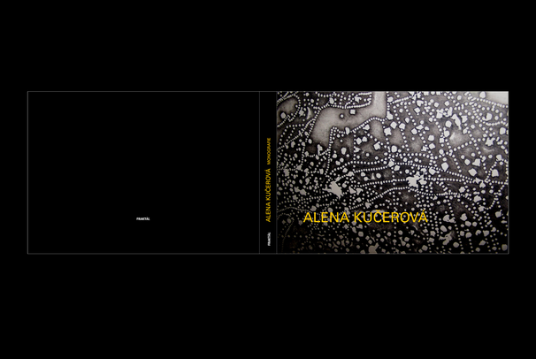 monografie Aleny Kučerové