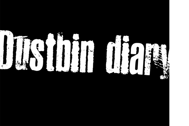 Dustbin Diary - Erasmus project