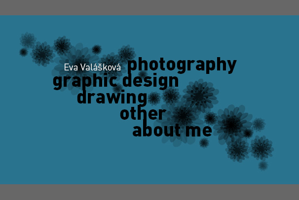 Elektronické portfolio