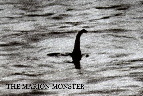 Přístřešek pro kachny