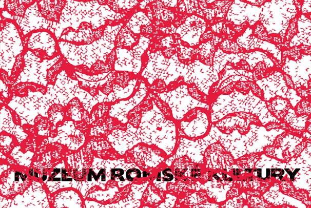 Muzeum romské kultury