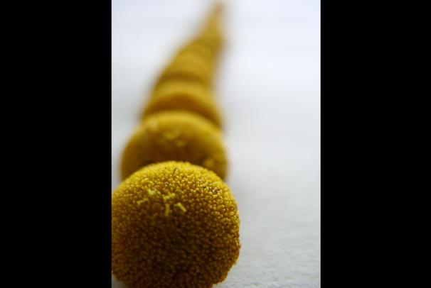 Land art ("příjezd, pobyt, odjezd")