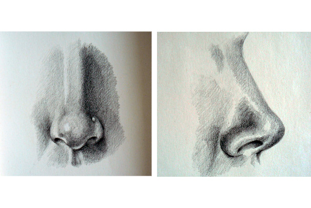 studijní kresba - nos