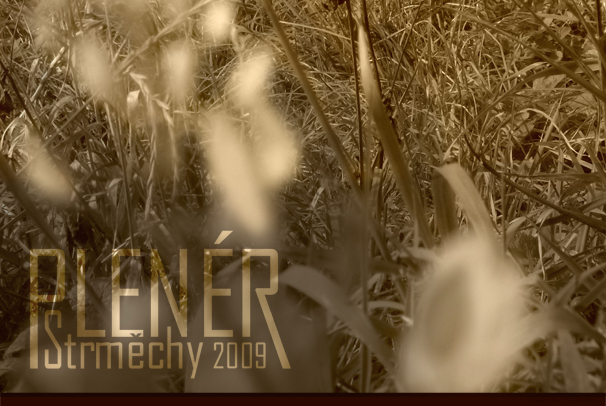 plakát Strměchy 2009