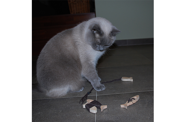 Reklamní předmět vytvořený bez finančních nákladů