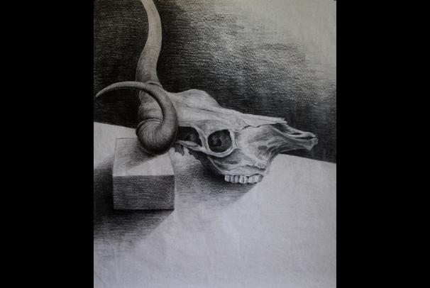 Studie Lebky 1. (Progresso) 105x125cm - ZS 2013/14