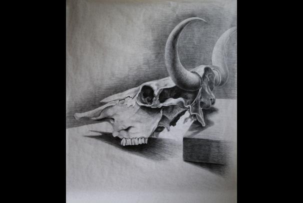 Studie Lebky 2. (Tužka) 105x125cm - ZS 2013/14