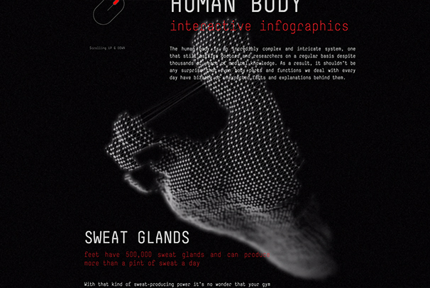 Interaktívna infografika / Human Body