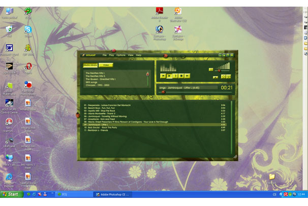 skin pro winamp